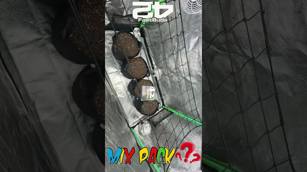 Mix Pack ​⁠@FastBudsGenetics  #autoflowers #fastbuds #cannabisdaily #420buds #cannabis #explore