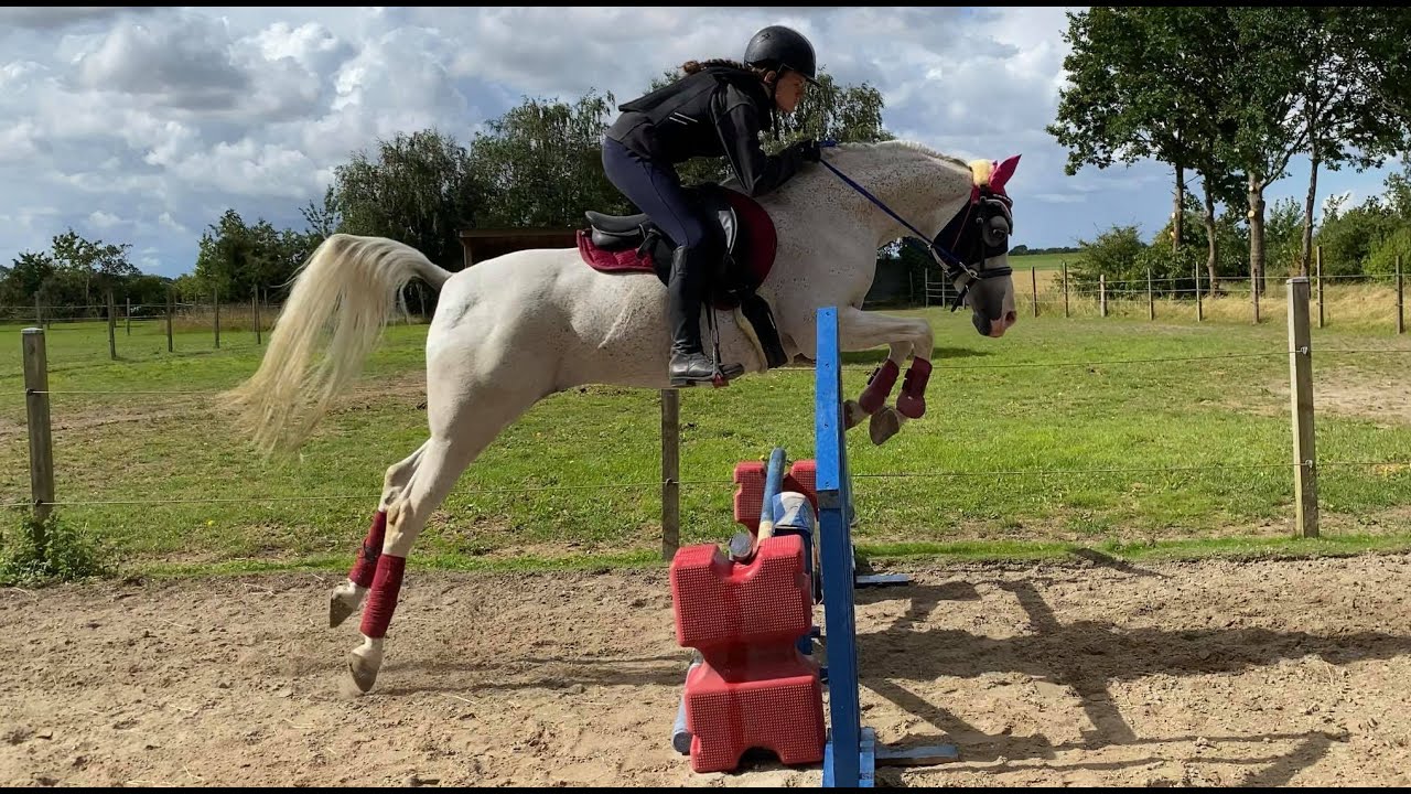 Springer og rider s&oslash;sters pony Frigg d. 6 september 2020 inkl. fails