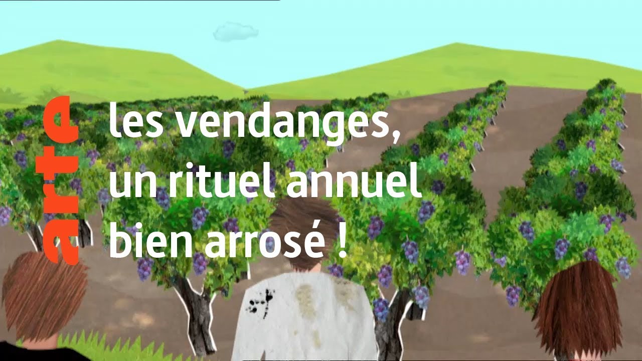 les vendanges, un rite annuel d'initiation bien arrosé - Karambolage - ARTE
