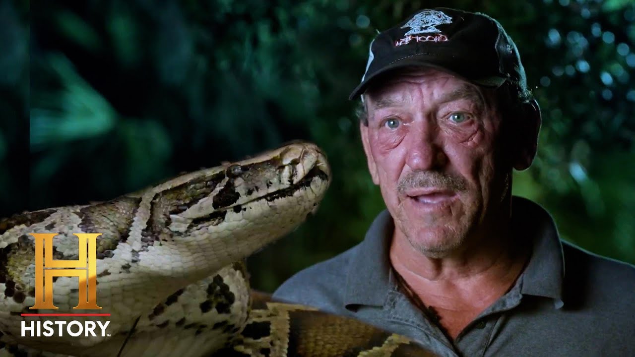 Troy vs. Nesting Burmese Pythons | Swamp People: Serpent Invasion (S4) | History
