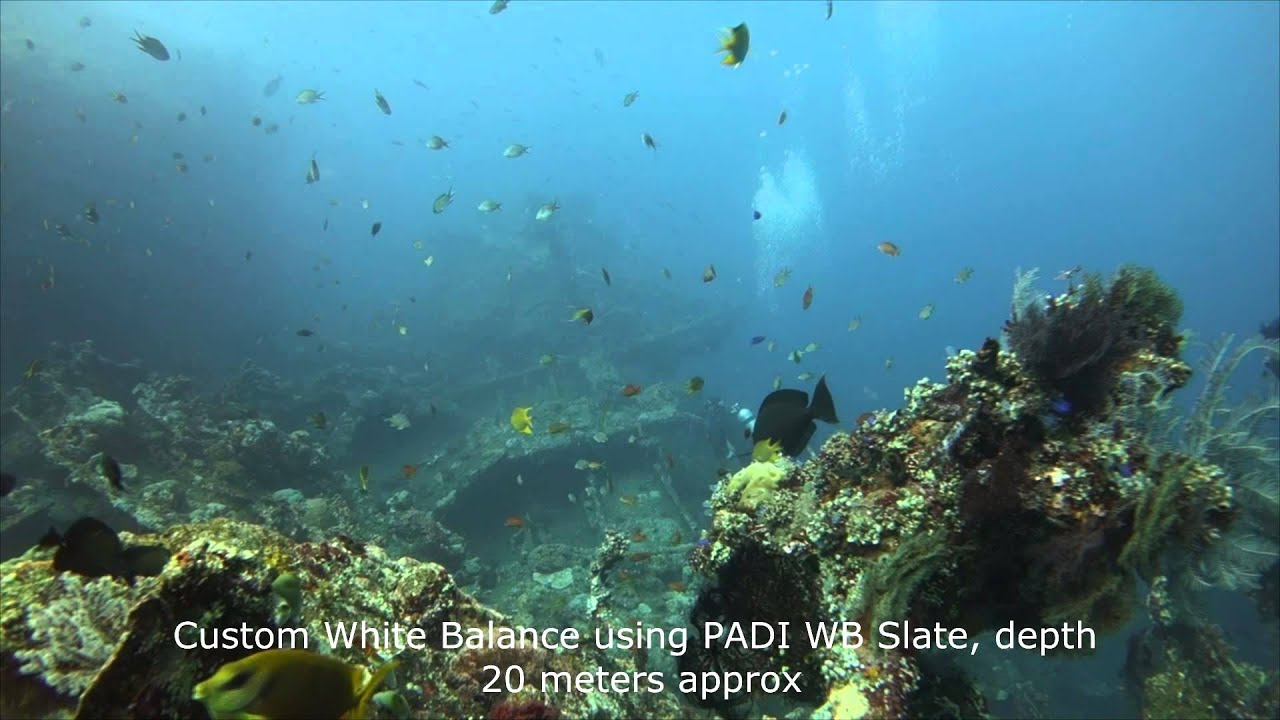 RX100 Metering, White Balance & Video Light Test