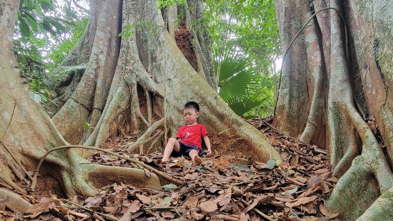 single mom ; trying to find my lost child in the forest.lytieuly