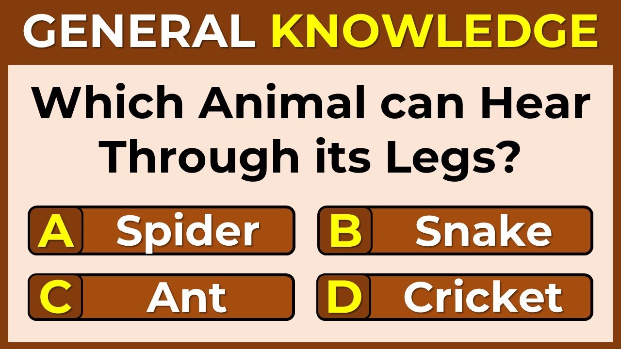 Think You Can Outsmart This Quiz? Only Geniuses Get a Perfect Score
