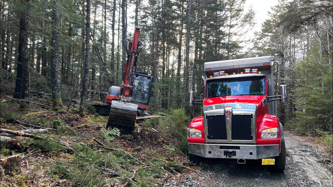 ТАК МНОГО ПРОЕКТОВ! РЕМОНТ ДОРОГ, ТРАНСПОРТИРОВКА БРЁВЁЗ, РЕЗКА ЛИНИЙ ЭЛЕКТРОПЕРЕДАЧИ — И ЭТО ПРО...