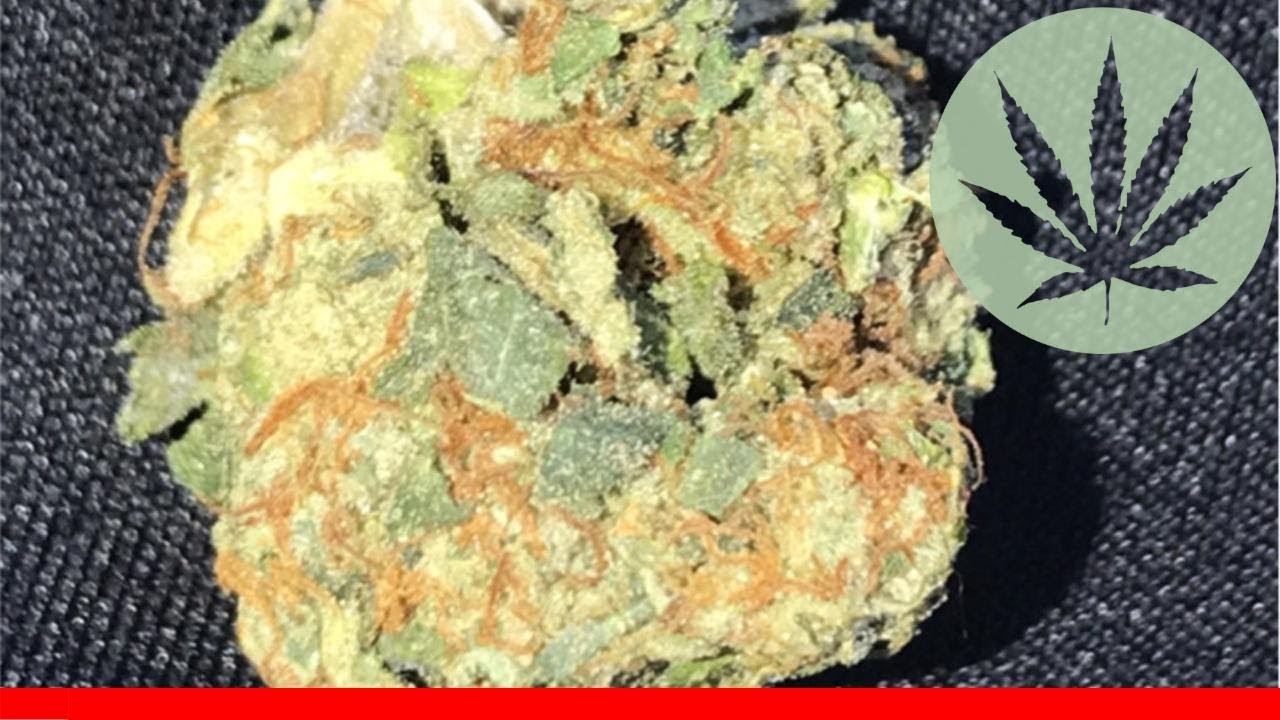 Incredible Hulk - All About This Strain