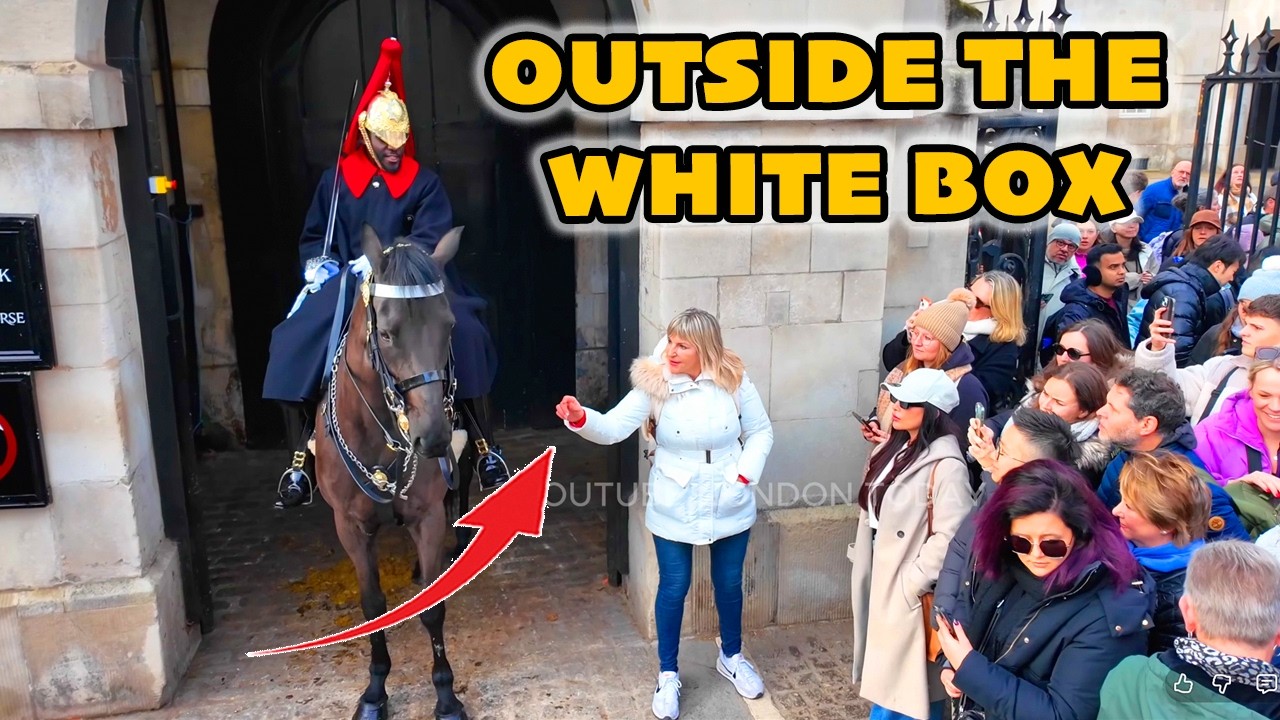 😡Guard Had ENOUGH...They Ignored Every Rule.!