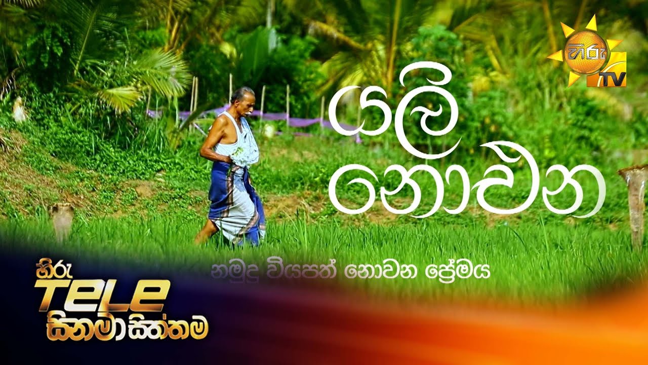 Hiru Tele Films | යලි නොඑන | 2026-01-31 | Hiru TV