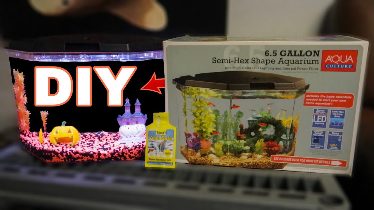 *NEW* 6.5G Halloween Themed AQUARIUM!!!