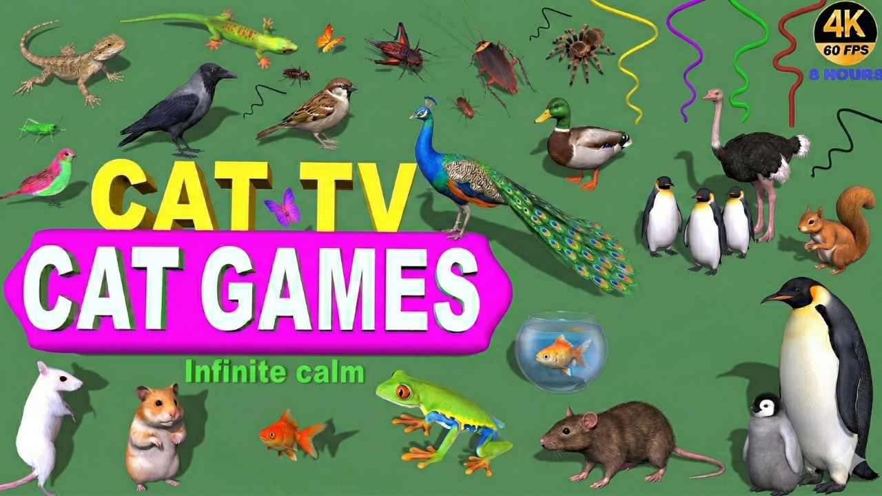 CAT GAMES | Ultimate 3D CAT TV for Cats to Watch 🐟🐦🐭 | 8 HOURS 4K 60FPS | Infinite Calm