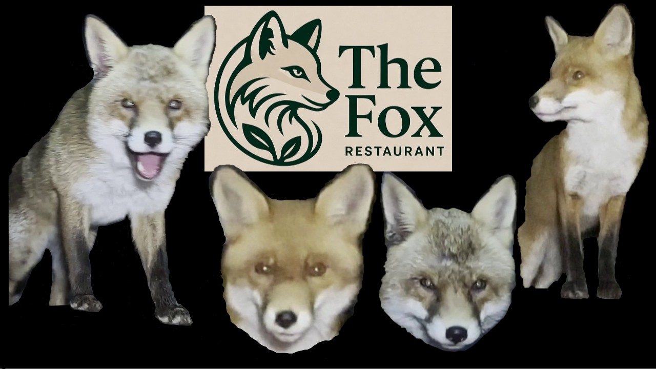 NEW from The Fox Restaurant!