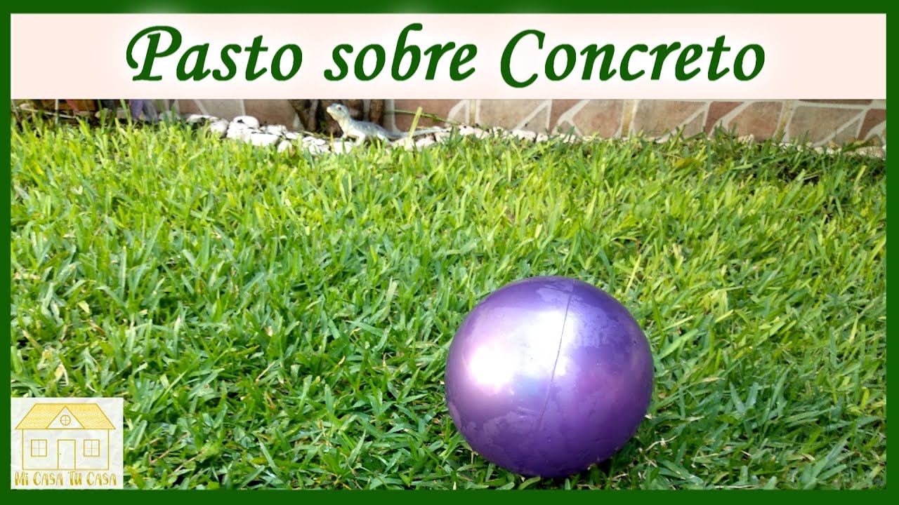 Como sembrar Pasto o Cesped Natural sobre Concreto o Cemento | Pasto Cuidados | Cesped como Cuidarlo