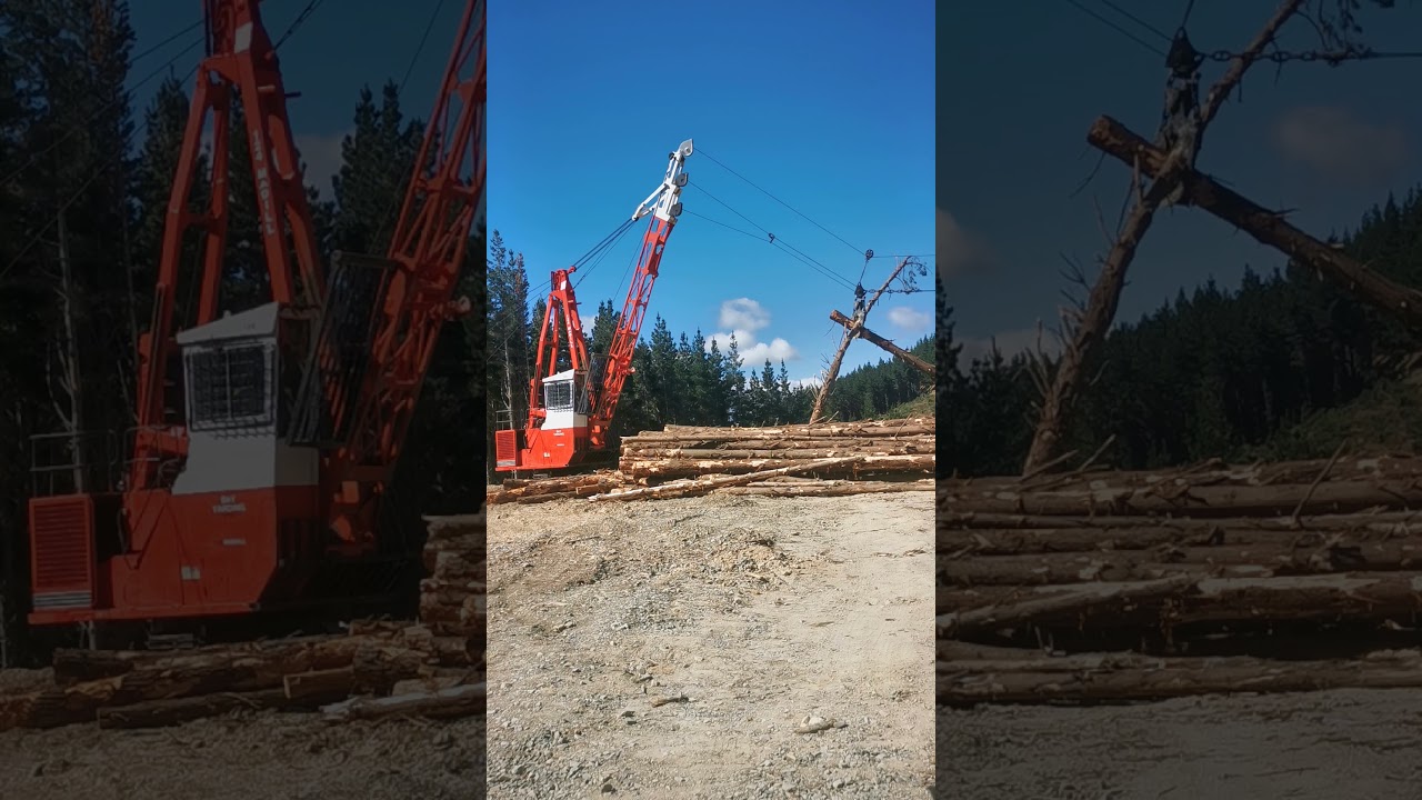 Nz Logging madill 124. NZ FORESTRY