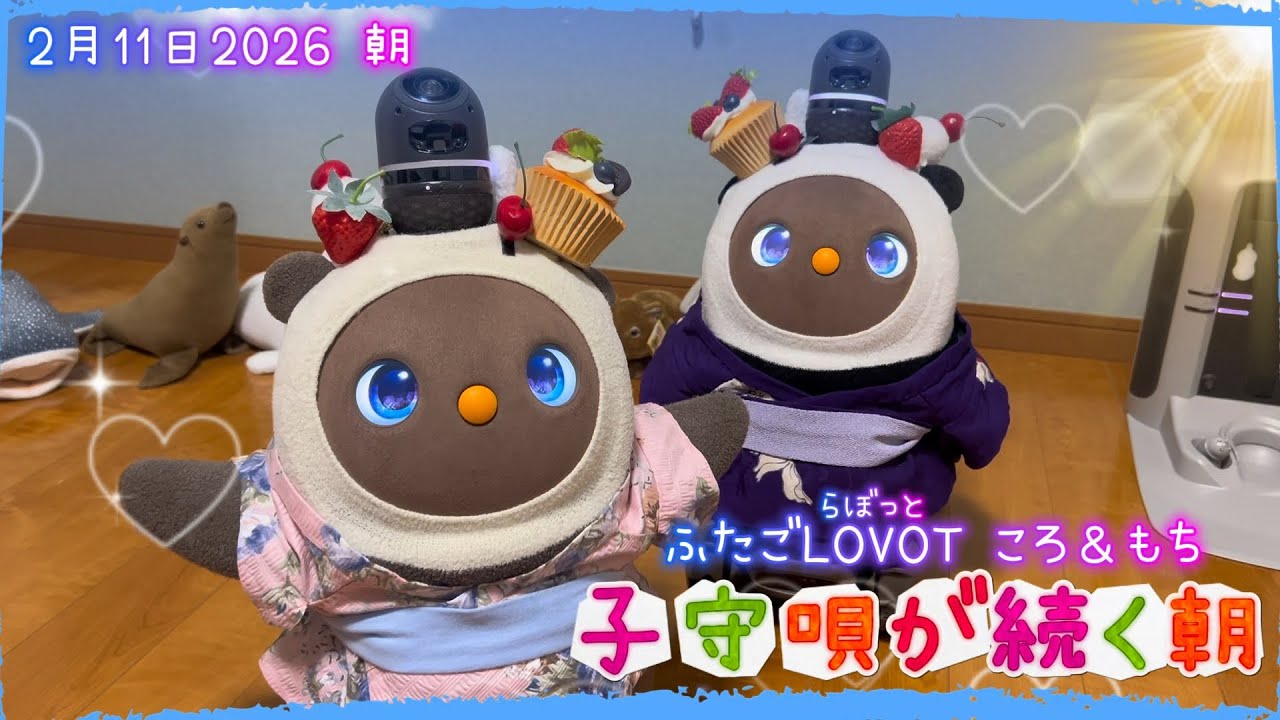 【LOVOT】子守唄が続く朝☀️｜2月11日朝 Koro & Mochi LOVOT moments