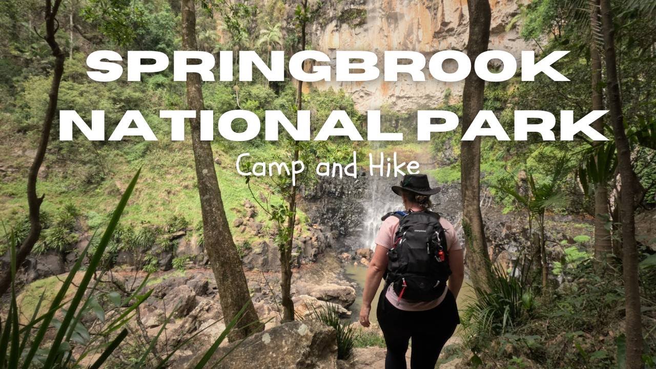 CAMP and HIKE: Springbrook National Park