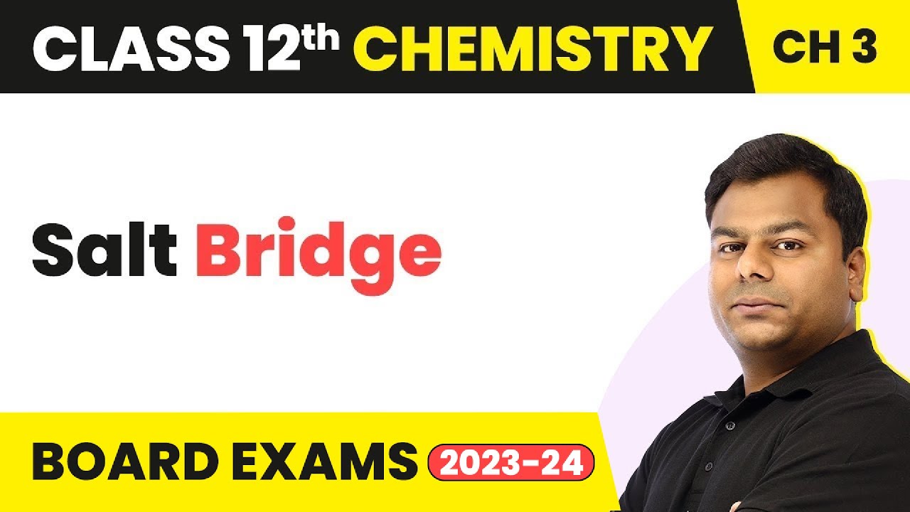 Salt Bridge - Electrochemistry | Class 12 Chemistry Chapter 3 (2022-23)