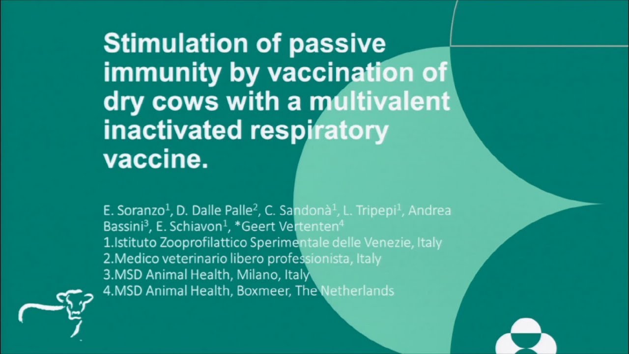 Stimulation of passive immunity by vaccination of dry cows...