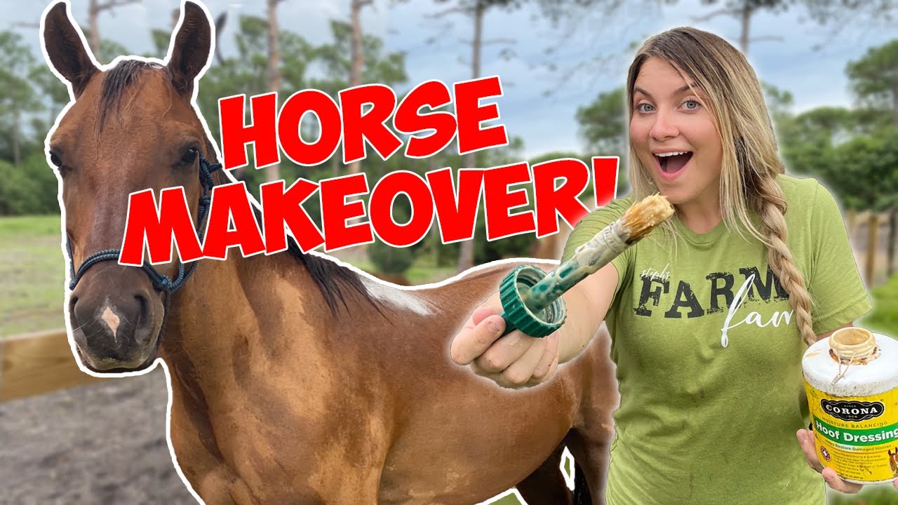 GIVING MY HORSE A MAKEOVER *SATISFYING*