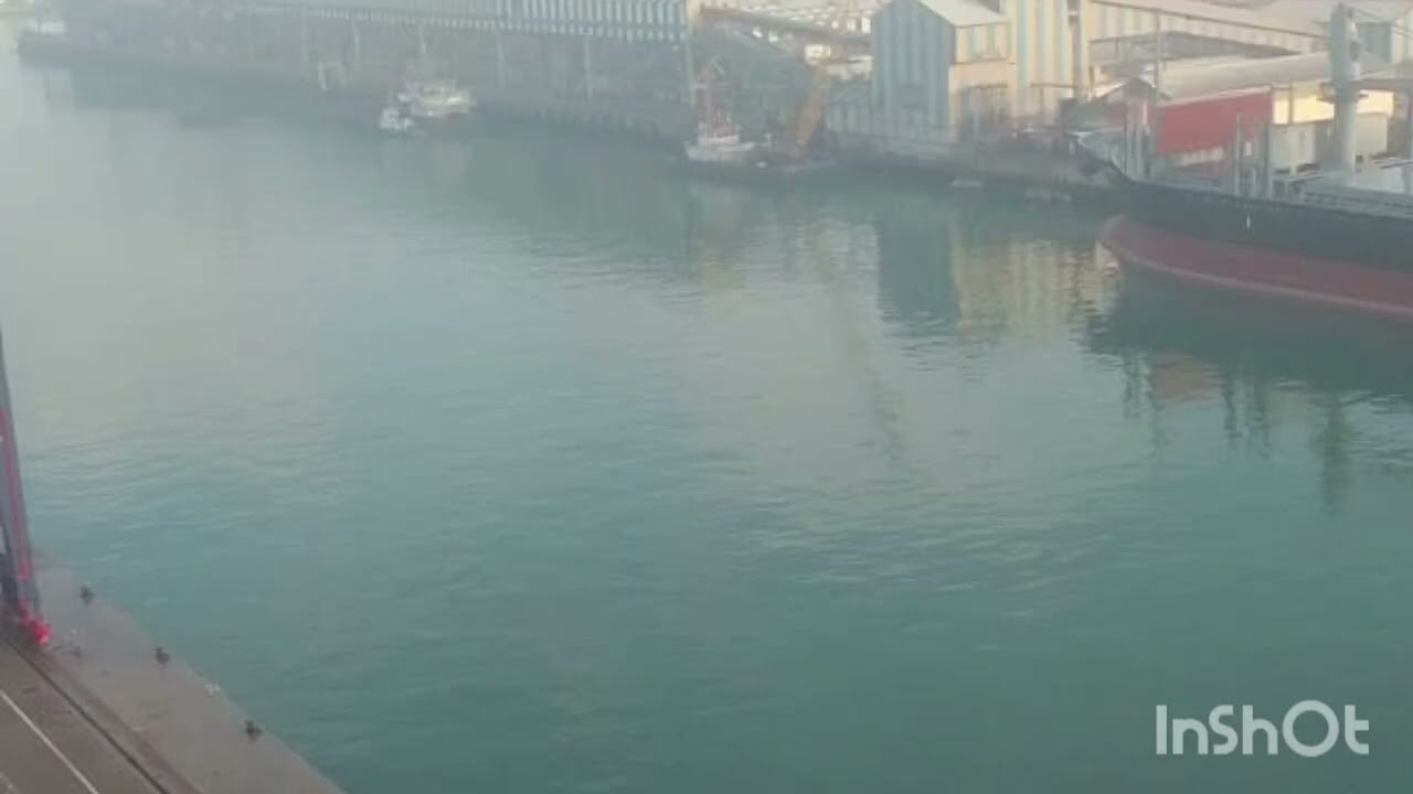 شنو واقع 🏃😨