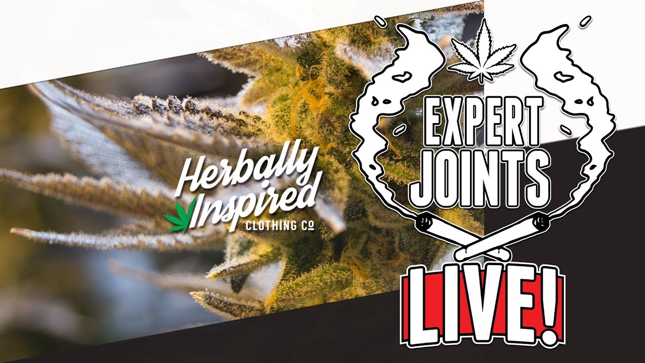 Expert Joints LIVE on Pot TV - What Inspires You
