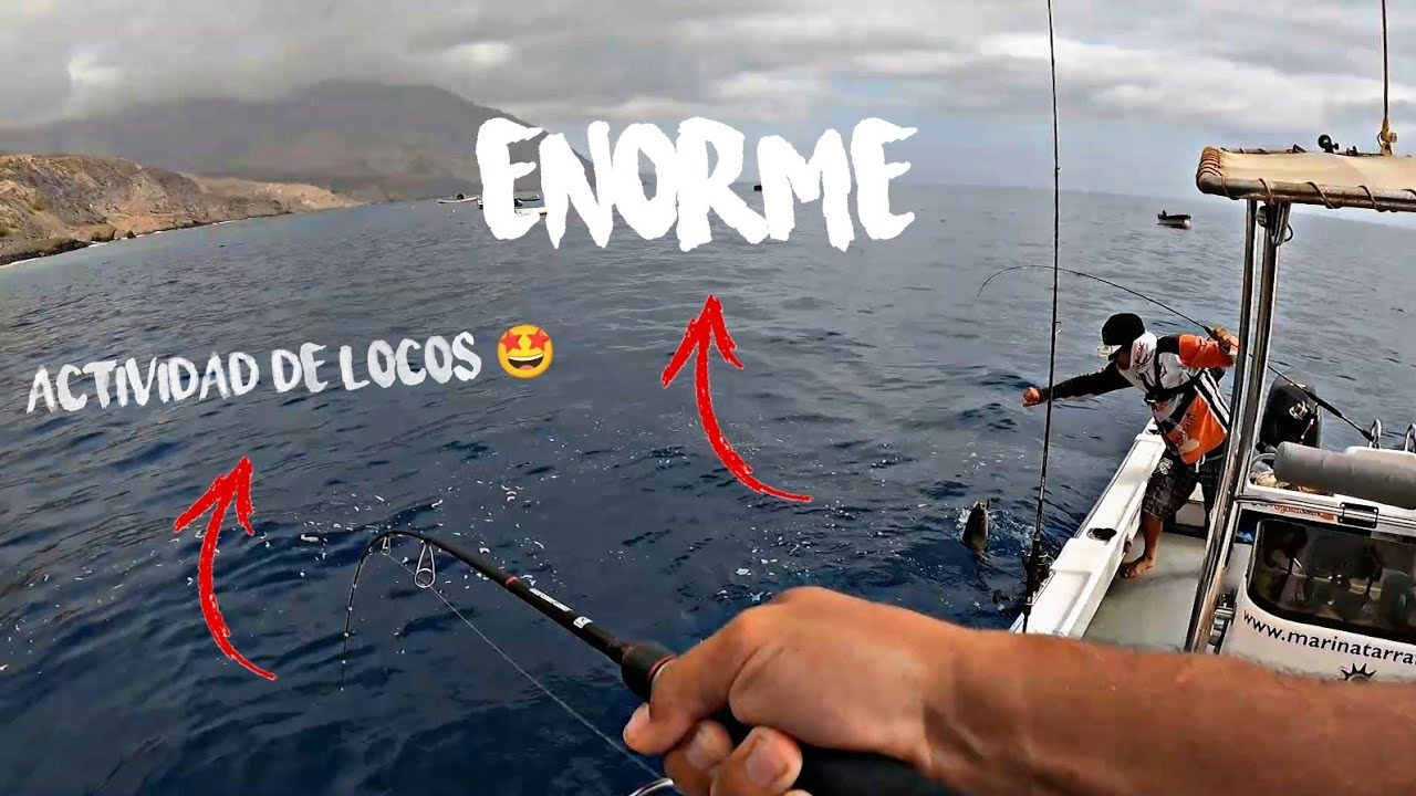 ACTIVIDAD INCREIBLE  Rockfishing Desde EMBARCACION Con JIG y VINILOS AliExpress