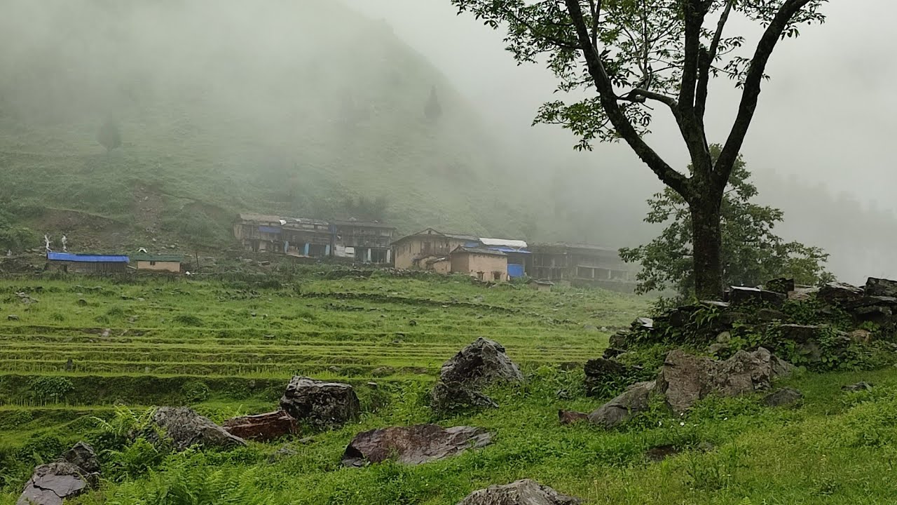 O My god's 🙏Non Except Rain In Jiree Village Nepal||Village Of Nepal||@RURALLIFENEPAL