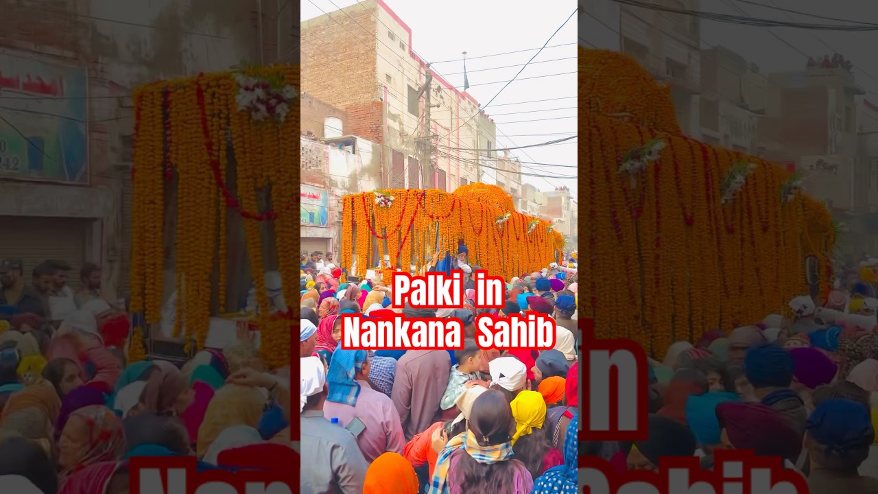 Palki Jaloos in Nankana Sahib | Guru Nanak Dev Ji Birthday