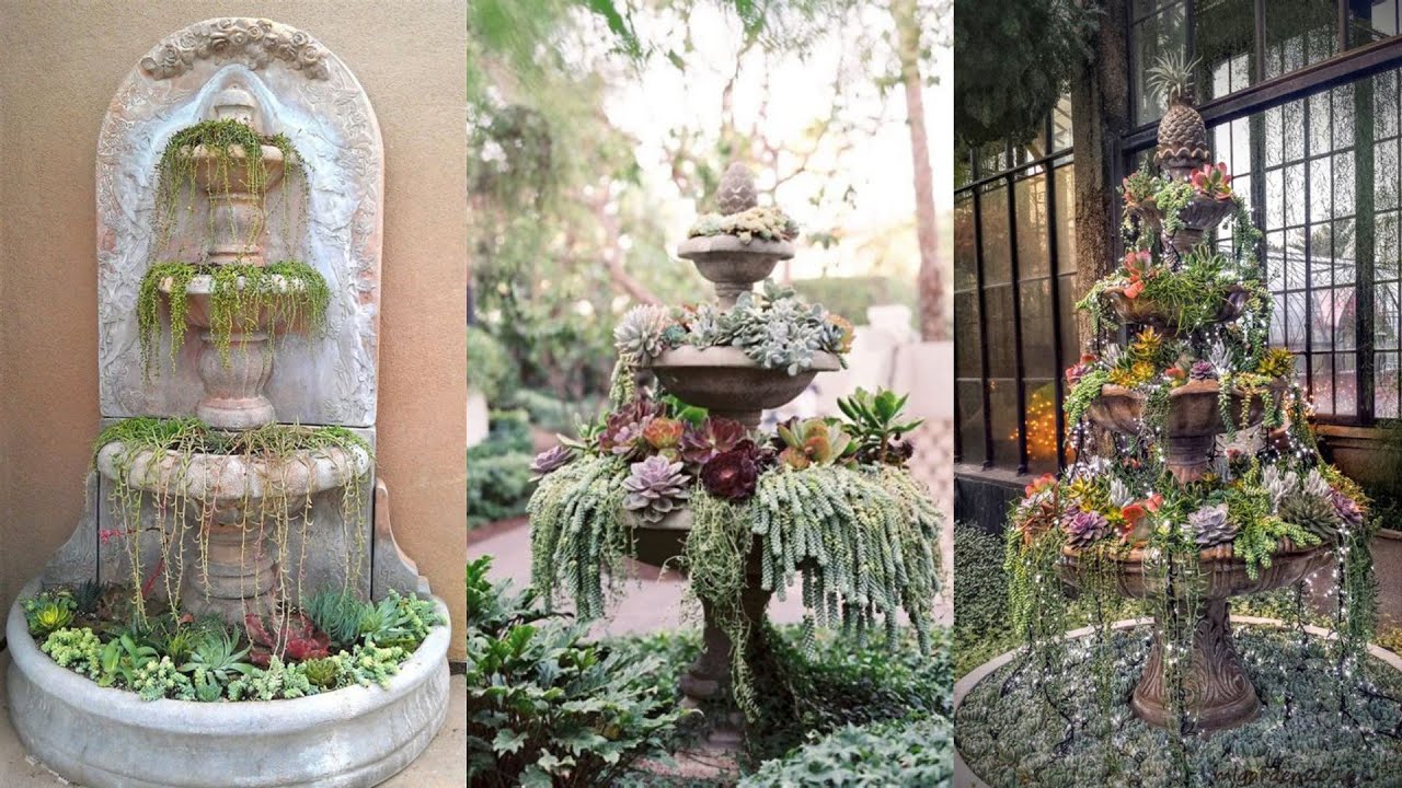 Amazing Succulent Fountain Ideas | Your Fountains | Leaf and Designs | Relax with Succulent Images