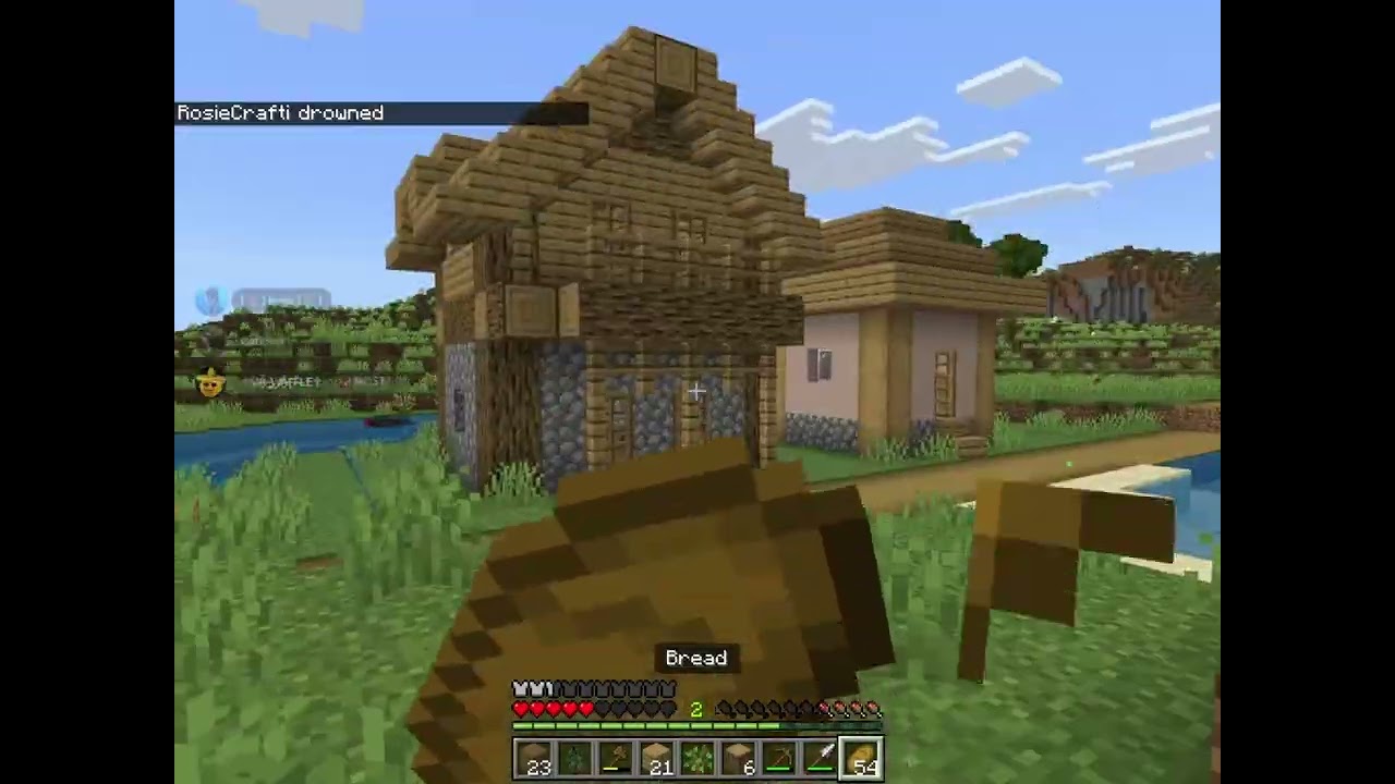 minecraft with friends