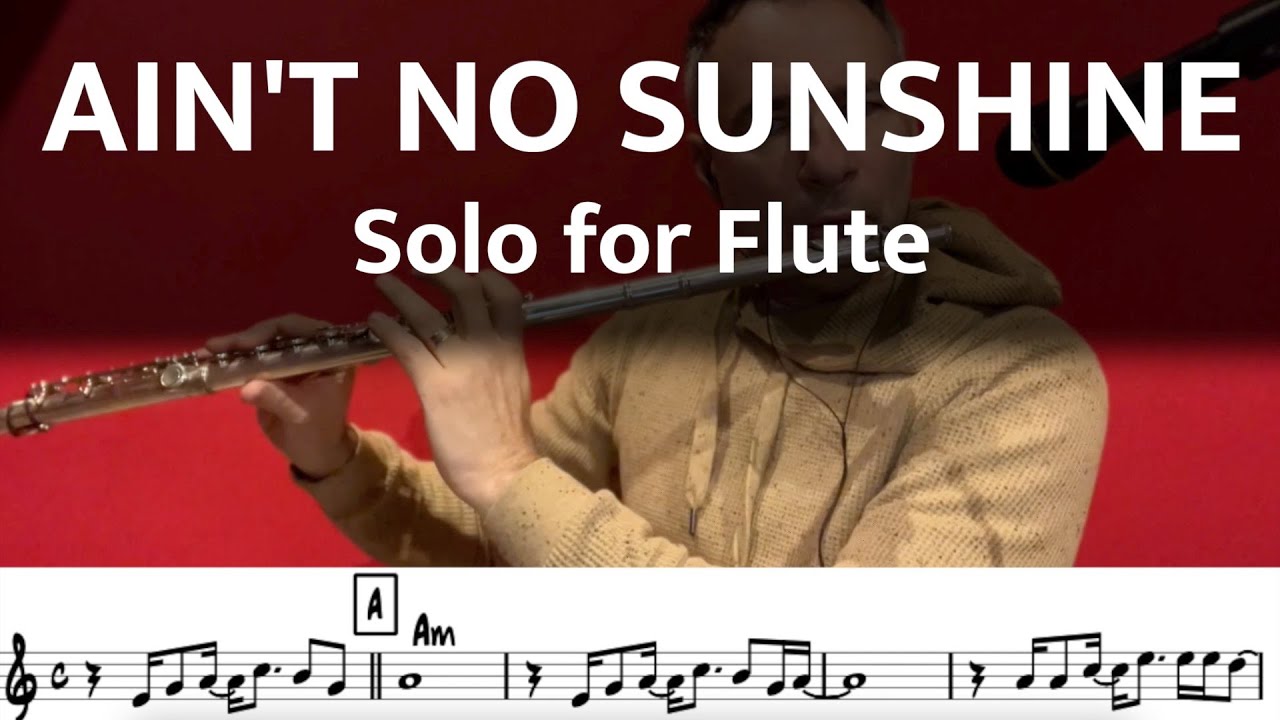 Ain't No Sunshine- Solo for Flute   #flutecover #jazzflute