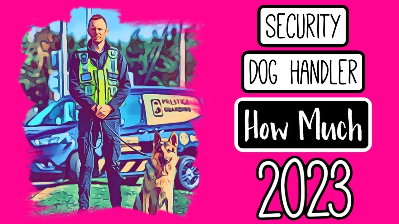 SECURITY DOG HANDLER - How Much 2023