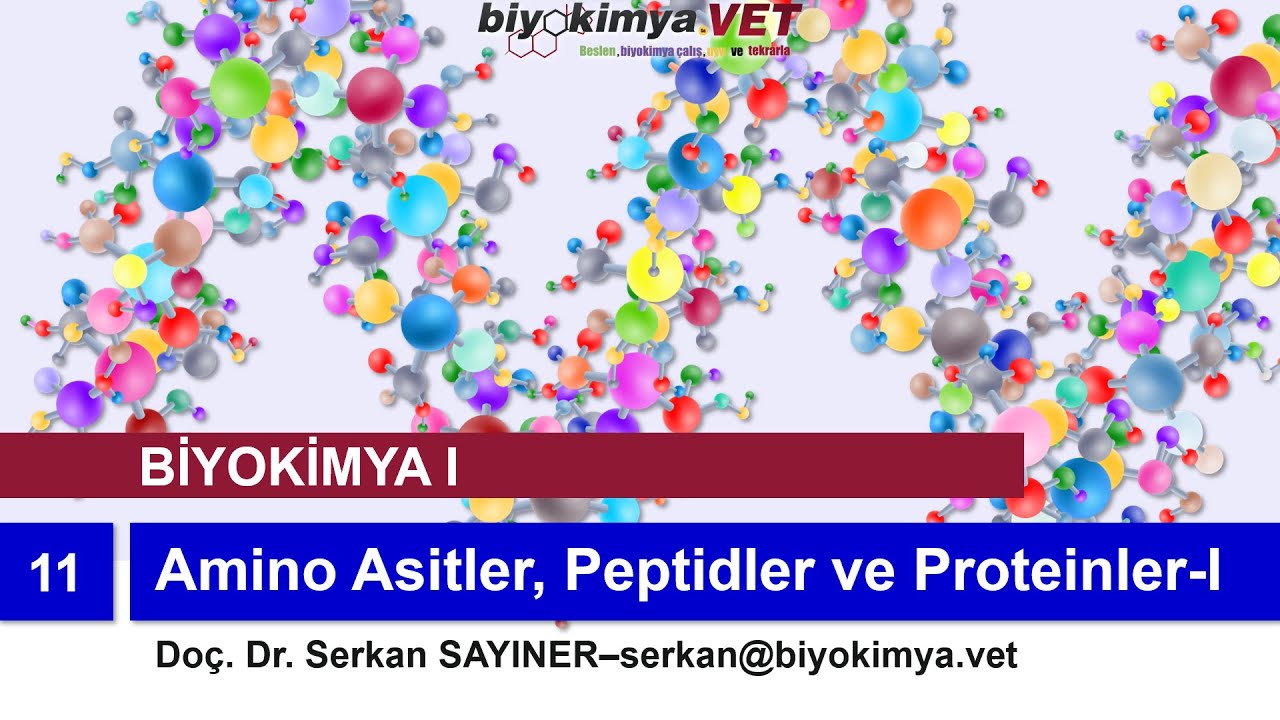 BİYOKİMYA-I | Konu 11: Amino Asitler, Peptidler ve Proteinler-I