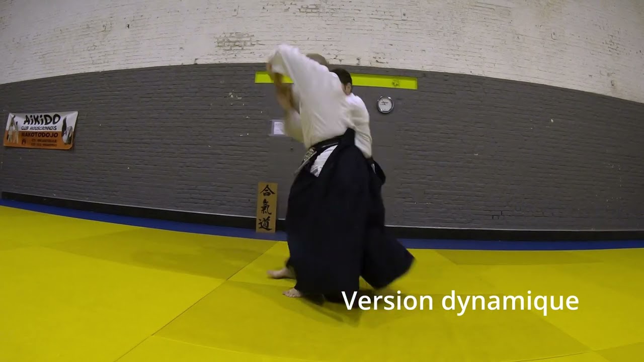Aikido Ushiro ryotedori Shihonage