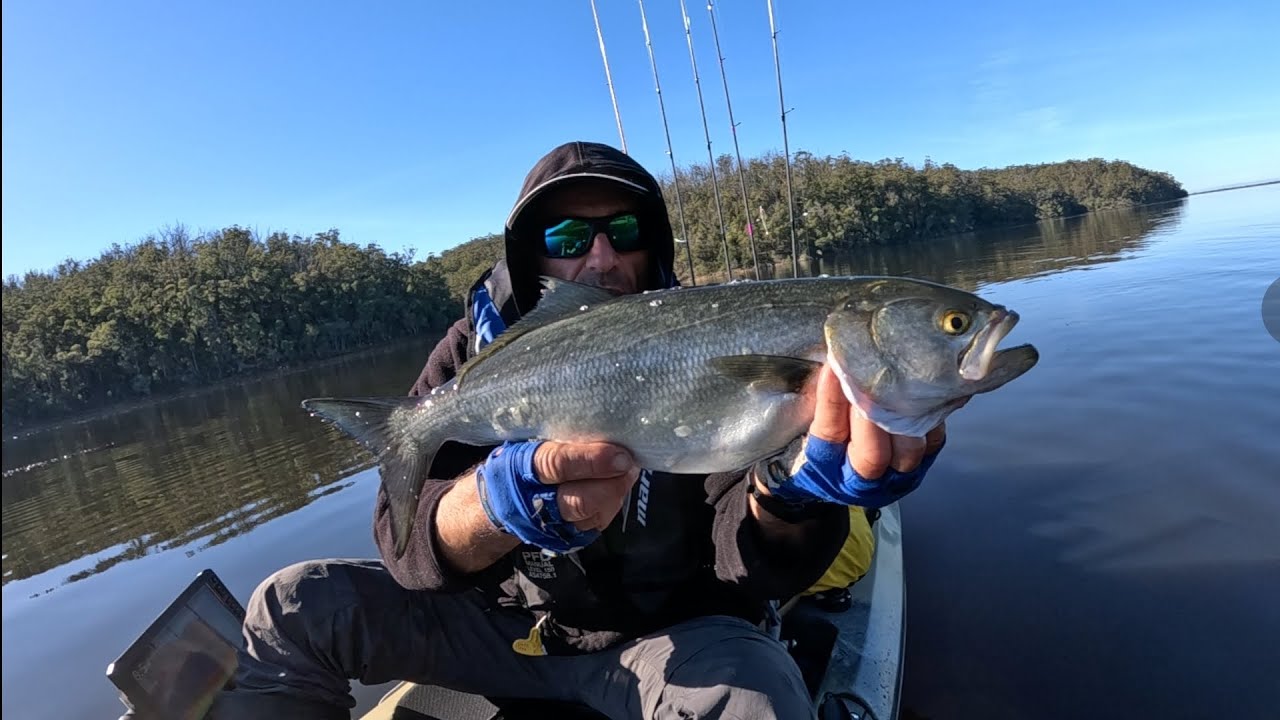 Fishing in East Gippsland  Region was a tough bite .