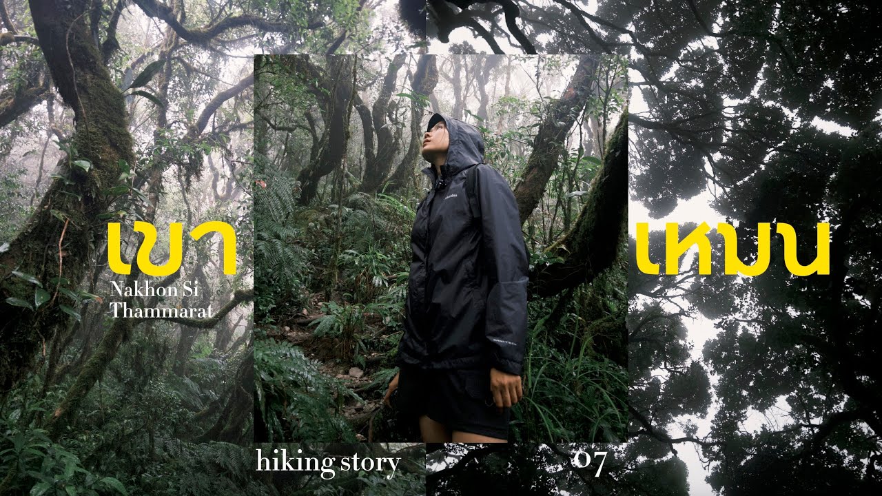 เขาเหมน ป่าใต้ ป่าฝนครั้งแรก ที่ใครบอกนะว่าไม่มีทาก ?! | KHAO MEN 2025