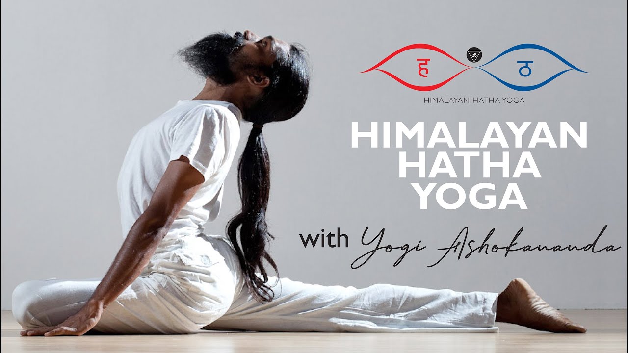 Yoga for Beginner - Himalayan Hatha Yoga