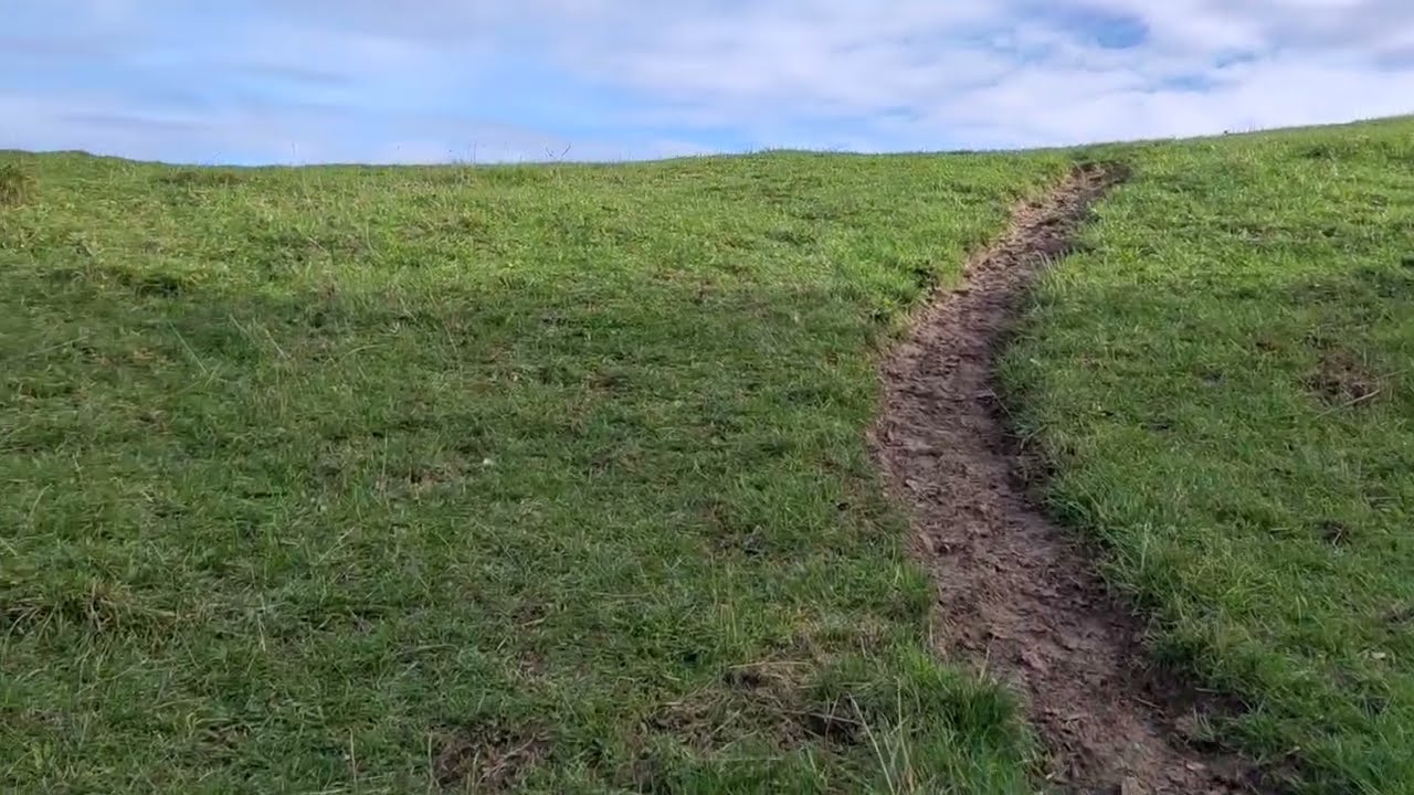 Brösarps södra backar