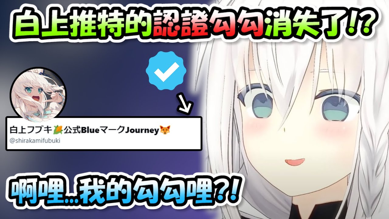 懇求多次才終於入手的推特認證勾勾居然消失了❓❗讓白上難過的痛哭大叫(´；ω；`)【白上吹雪】【Hololive/ホロライブ】【vtuber中文字幕】