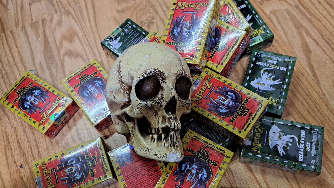 100 Dollar Metazoo Loss.