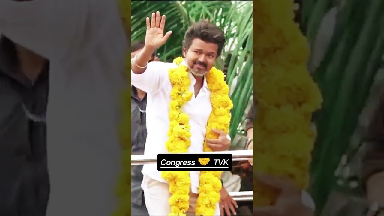 Congress 🤝 TVK l #viralvideo l #rahulgandhi l #vijaythalapathy