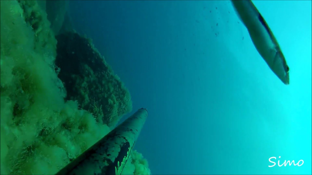 Pesca sub : Palamita 4 kg con Salvimar Vuoto Air 100