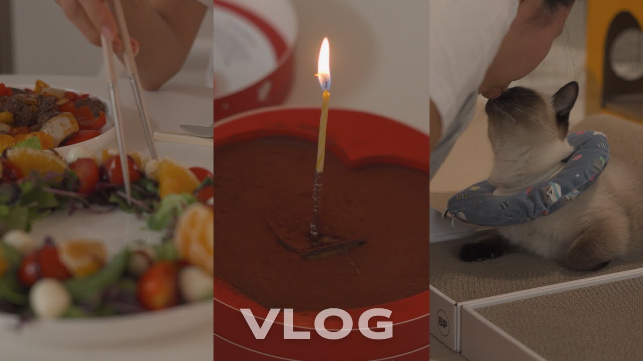 크리스마스 파티에 진심인 1인가구 집순이 브이로그🍷 나를 위한 코스요리 만들기