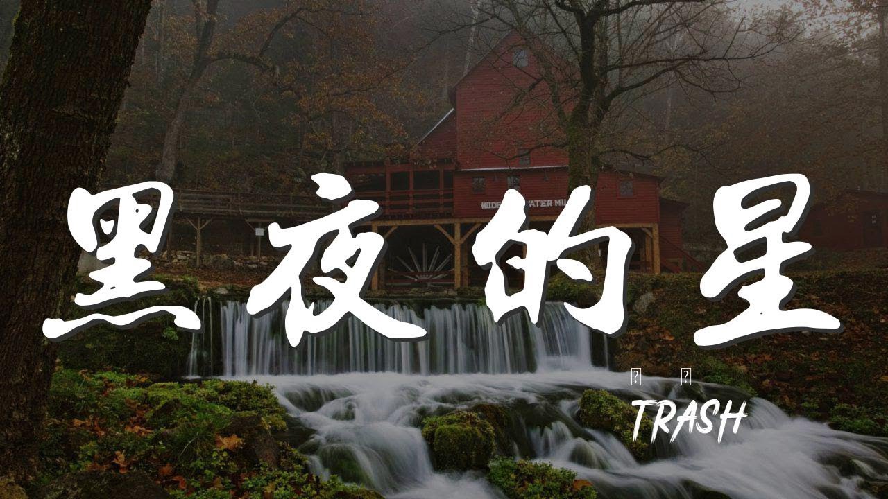 黑夜的星 - TRASH『需要愛和衝動 有時候多少也會犯錯』【動態歌詞Lyrics】