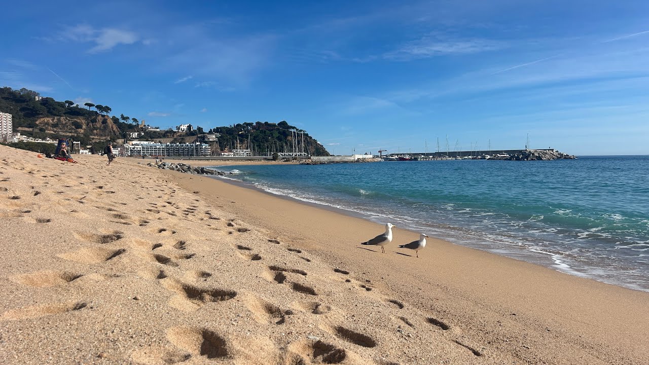 Blanes Beach Live 🌊 18°C Sunny February Day | Costa Brava Spain 2026