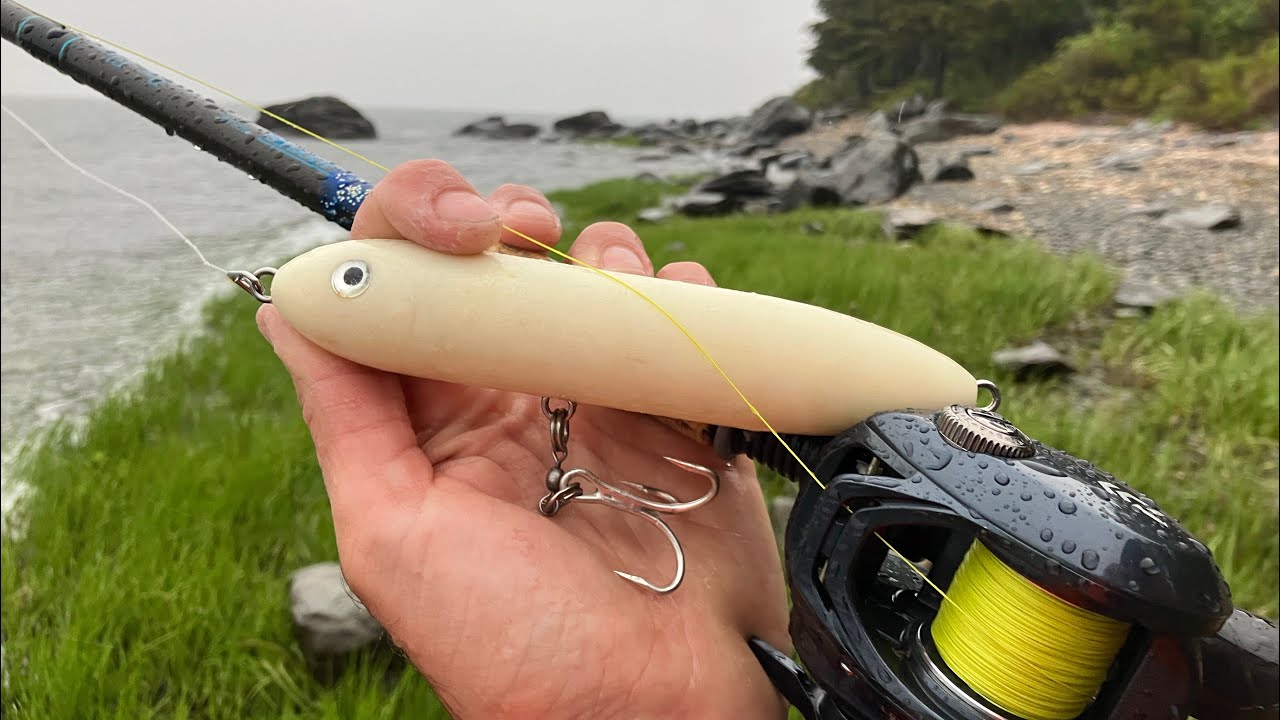 Casting Big Topwater Lures in the Rain for Whatever Bites!!