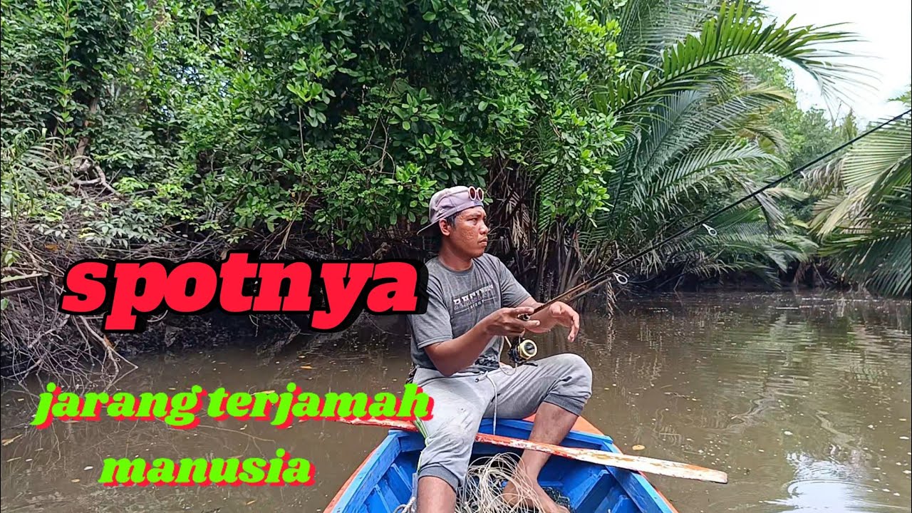 Pasang tajur dan mancing dasaran di spot muara #mancingdasaran #tajurmuara #fishing
