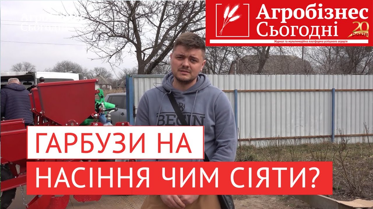 Чому фермери обирають вирощування гарбузів?