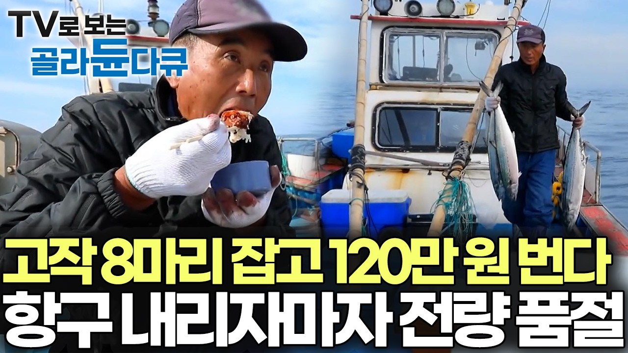 다른 어종은 거들떠보지도 않는다, 6년 동안 3회에 걸쳐 담은 고수의 바다. 갓 잡은 회 썰어주곤 가더니 혼자 120만 원 치를 금방 잡아왔다｜한국기행｜#골라듄다큐