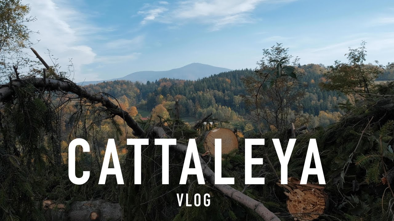 [Vlog] CryptoWellness v resortu Cattaleya