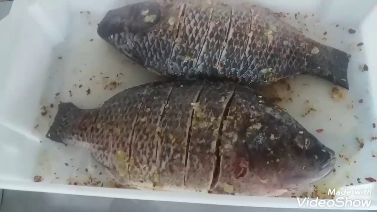 Peixe frito inteiro sequinho e crocante #tilapia