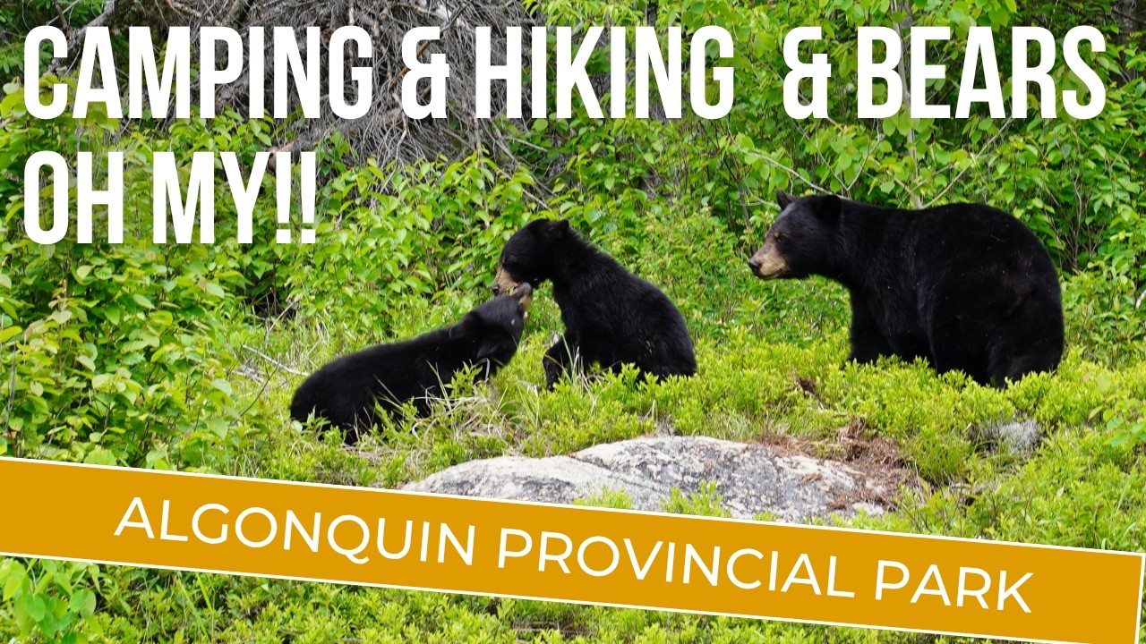 Algonquin Provincial Park (Pog Lake CG) - Wildlife, Canoeing, Cycling, Hiking, Museums & More!